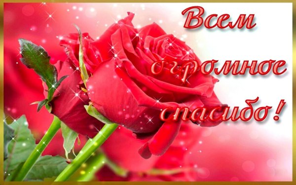 Открытка спасибо за поздравления