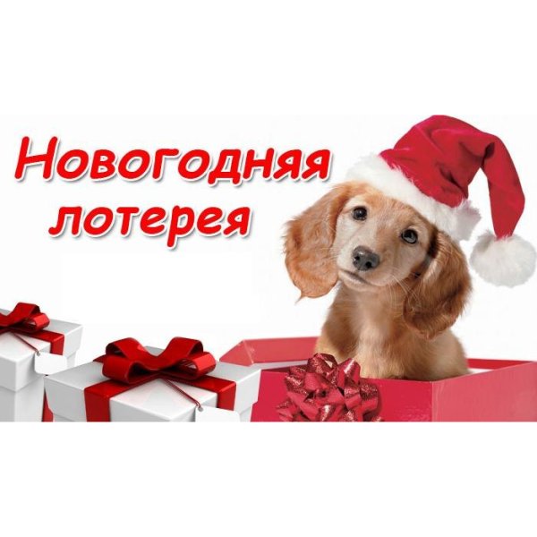 Новогодняя лотерея