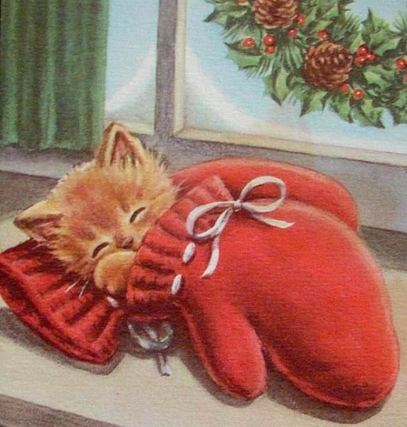 Кот в варежках