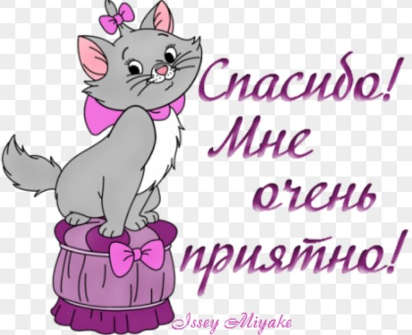 Спасибо очень приятно