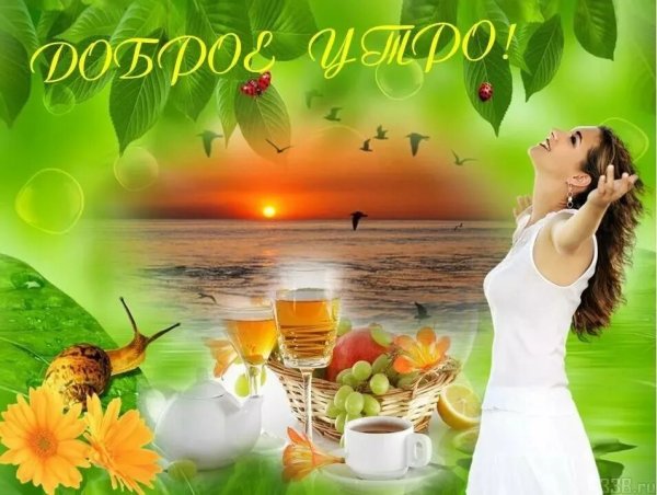 Открытки с добрым утром летние