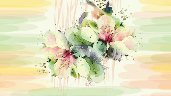 Цветы абстракция