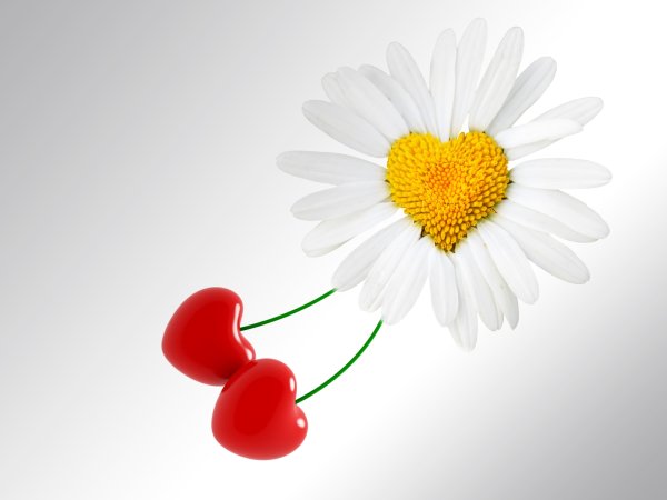 Сердце цветы на белом фоне