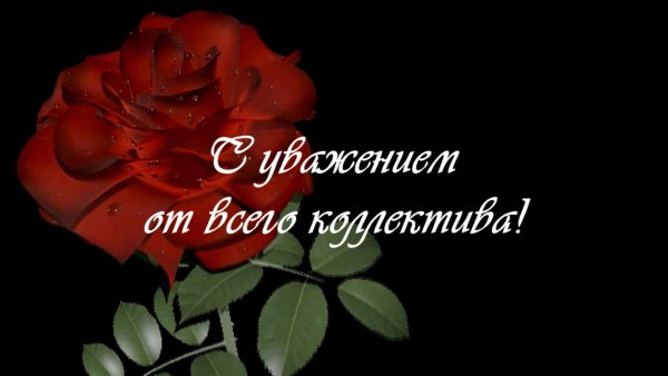 С днём рождения женщине