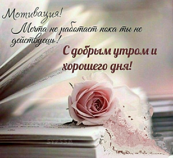 Мудрые высказывания с добрым утром