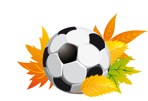 Медаль лучший учитель физкультуры