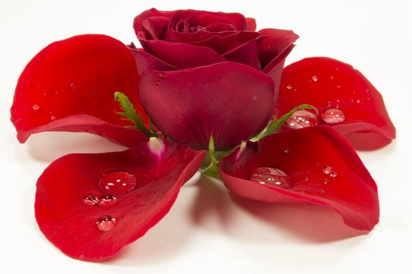 Открытка ты прелесть мужчине