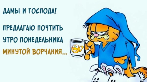 Утро понедельника