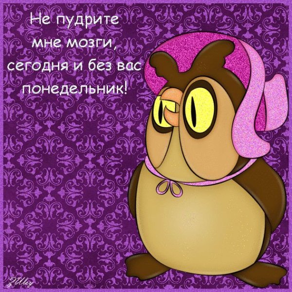 Открытки с понедельником прикольные