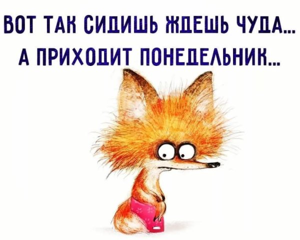 Открытки с понедельником прикольные