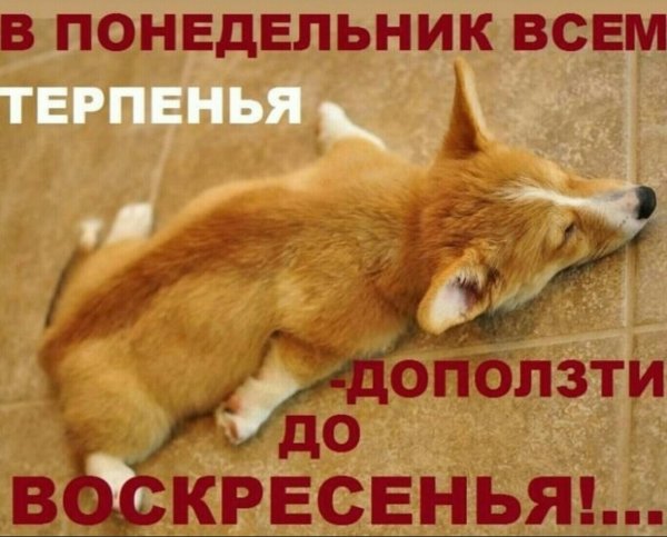 Открытки с понедельником