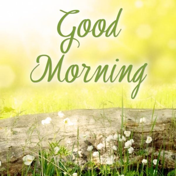 Доброе утро на английском