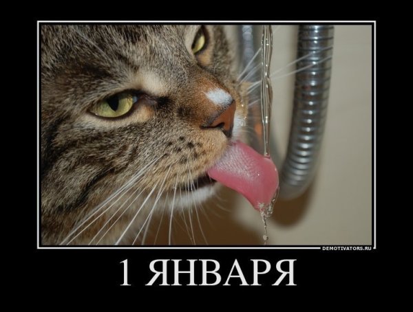 Утро первого января