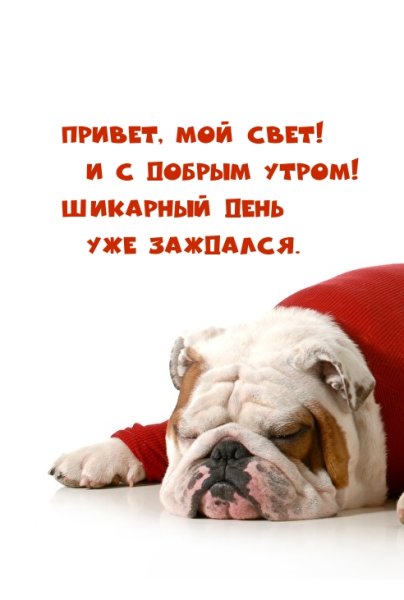 Доброе утро январь прикольные