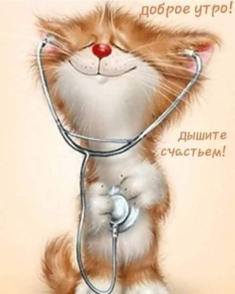 Котики Долотова доброе утро