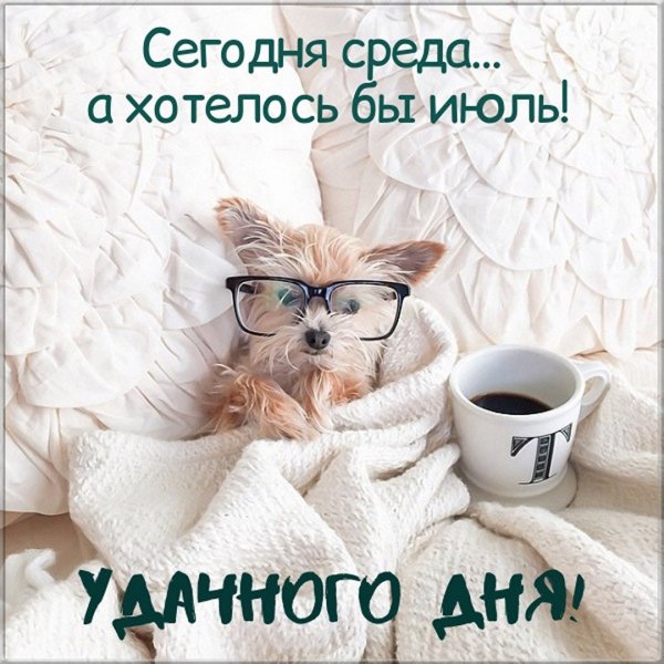 С добрым утром среды прикольные