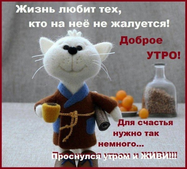 Афоризмы про доброе утро смешные