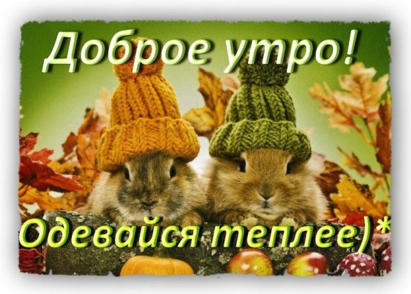 Доброе Холодное утро