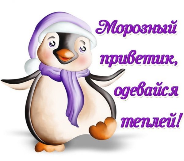 С добрым морозным днем прикольные