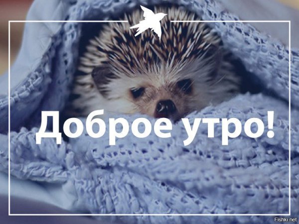 Доброе утро понедельника зима