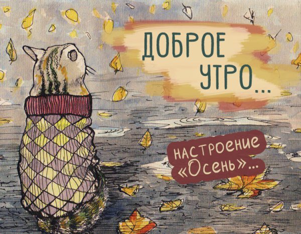 Коту нипочем холода