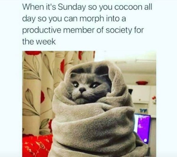 Холодно прикольные