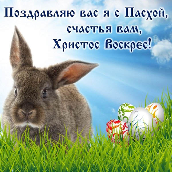 Заяц открытка