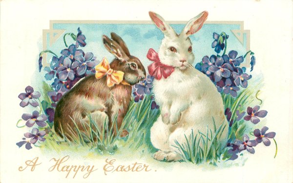 Мультики с зайчиком Шнуфель