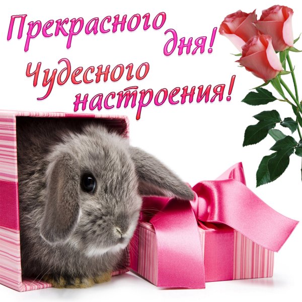 С днём рождения Минимализм