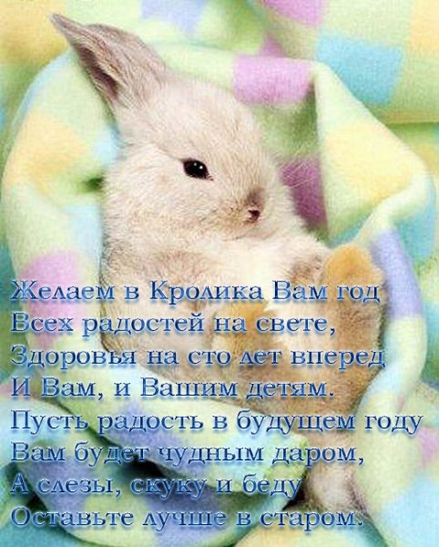 Anita Jeram иллюстрации кролики