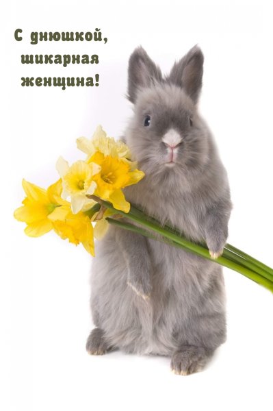 Заяц с цветком