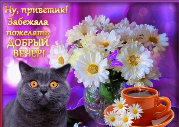 Красивые поздравления с добрым вечером