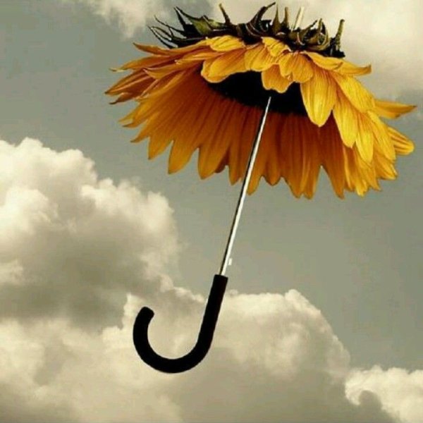 Зонт с подсолнухами