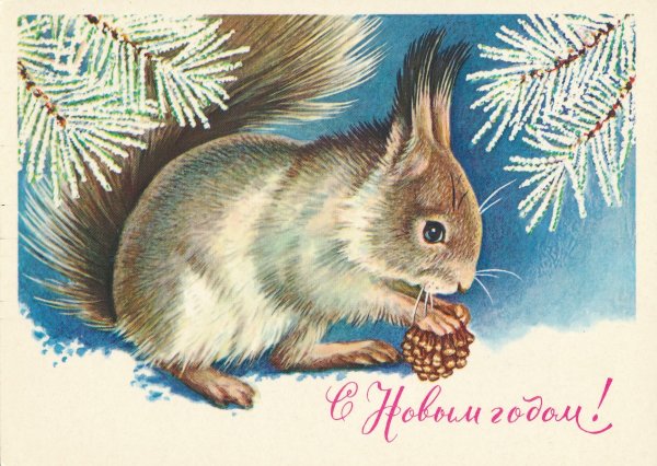 Советские открытки со зверями