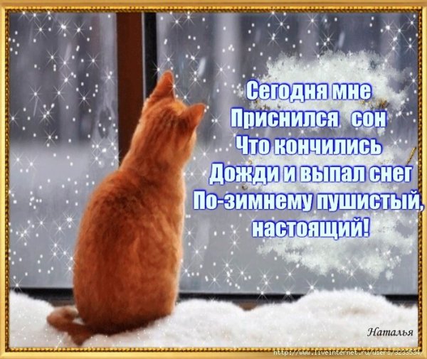 Доброе утро в дождливую погоду