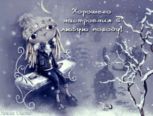 Дождливая зима