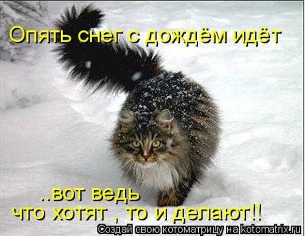 Открытки снег с дождем