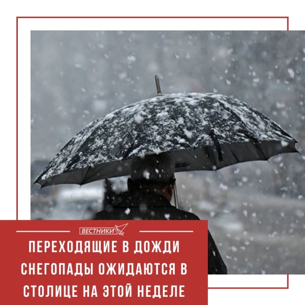 Здравствуй поздняя осень