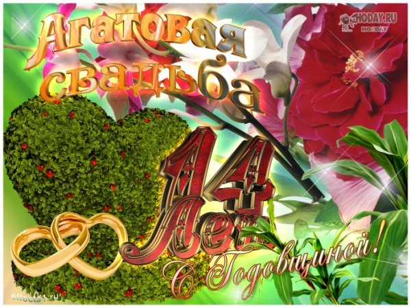 С годовщиной свпдьбы 14 Лео