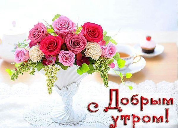 Открытка Оле с добрым утром