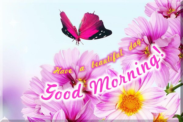 Спасибо с добрым утром