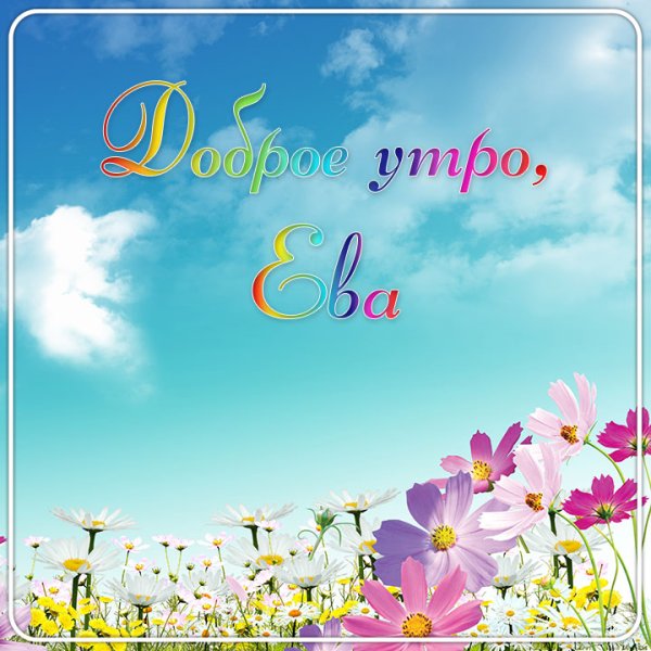 Доброе утро картинки