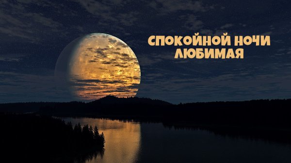 Спокойной ночи любимая