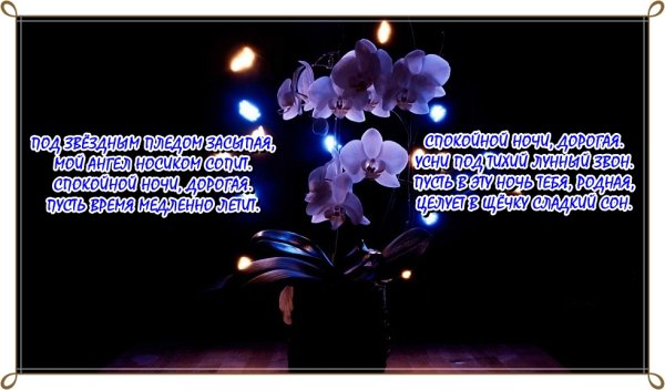 Самые красивые пожелания любимой девушке спокойной ночи
