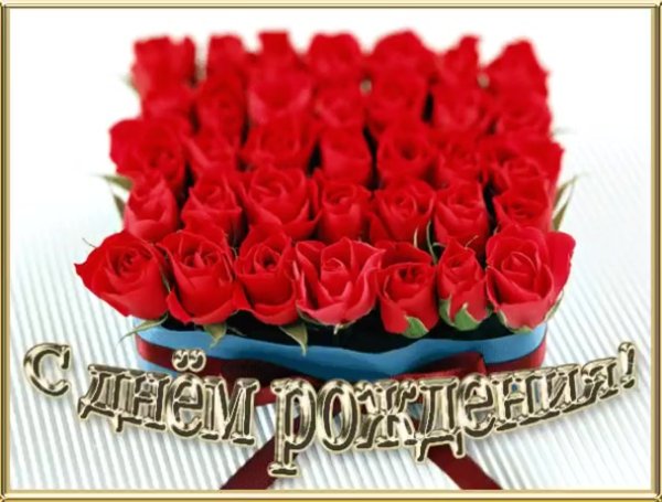 Тюльпаны Екатерины Арсениной