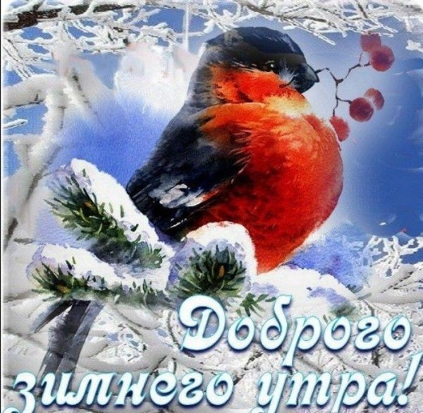 Доброго зимнего морозного дня