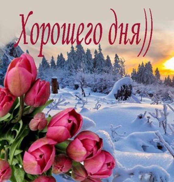 С добрым зимним утром четверга