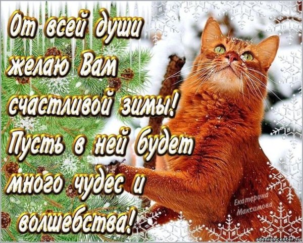 Счастливой зимы