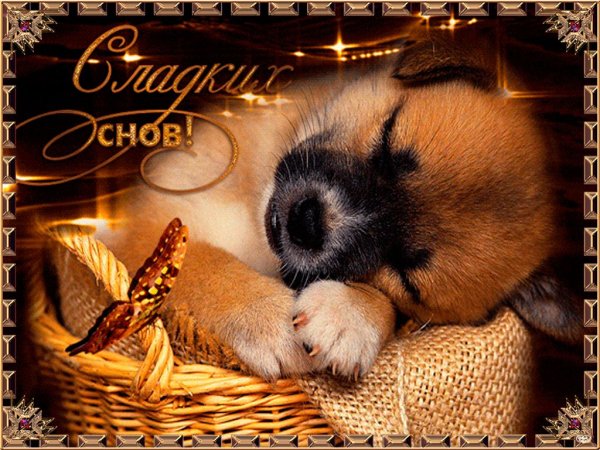 Открытки спокойной ночи сладких снов