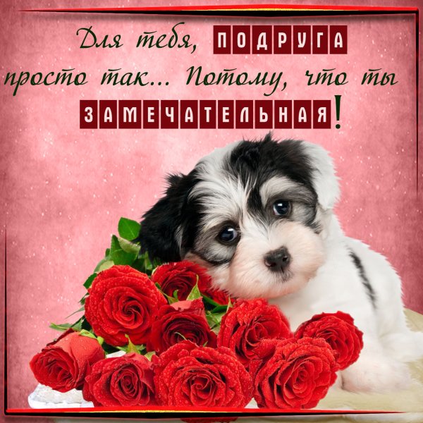 Красивые открытки для подруги